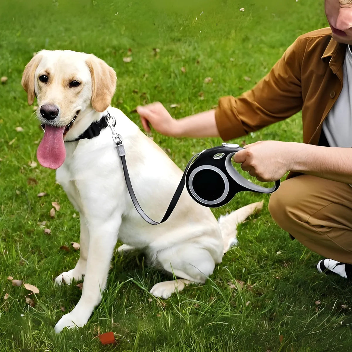 Correa Retráctil 360º Para Perros/ Libre