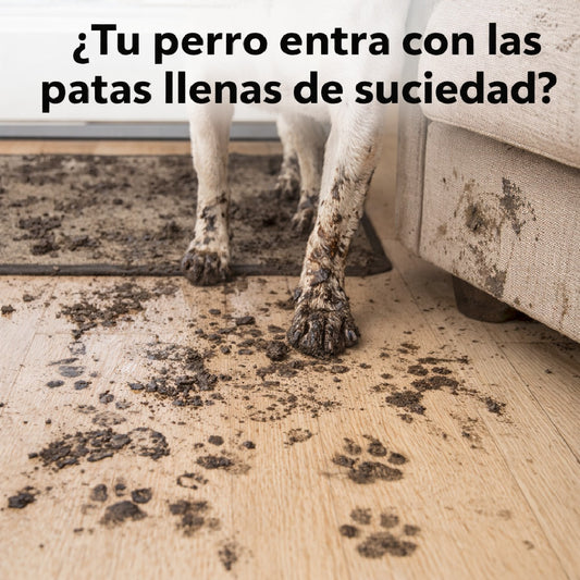 Vaso Limpiador De Patas Perros Portatil